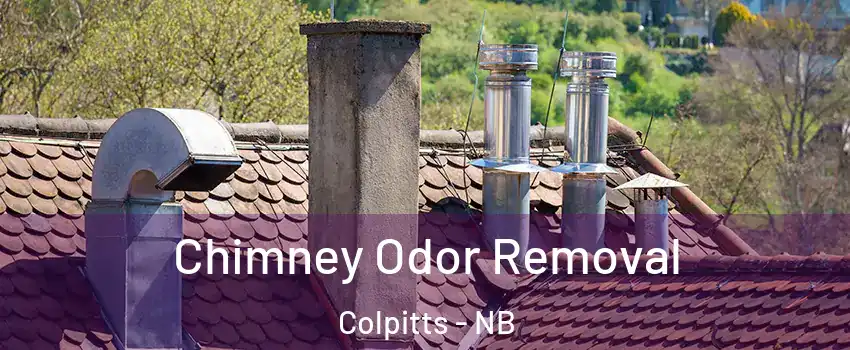  Chimney Odor Removal Colpitts - NB