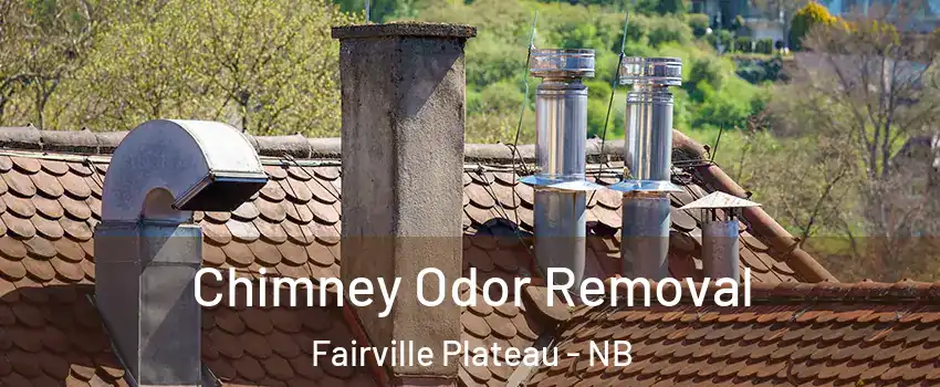  Chimney Odor Removal Fairville Plateau - NB
