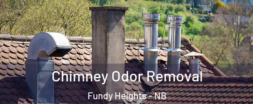  Chimney Odor Removal Fundy Heights - NB