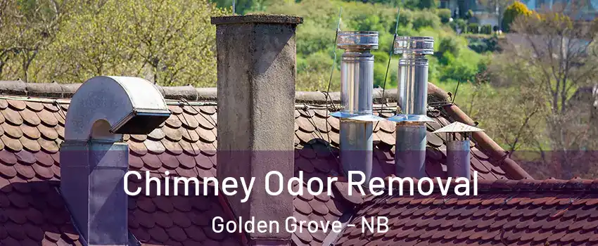  Chimney Odor Removal Golden Grove - NB