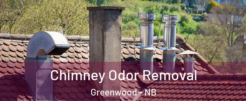  Chimney Odor Removal Greenwood - NB