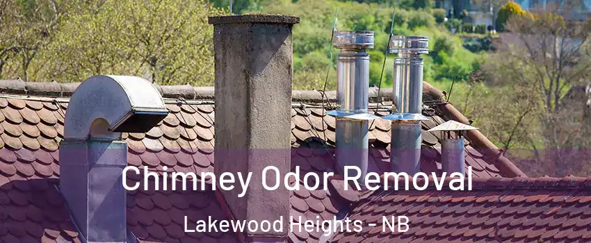  Chimney Odor Removal Lakewood Heights - NB