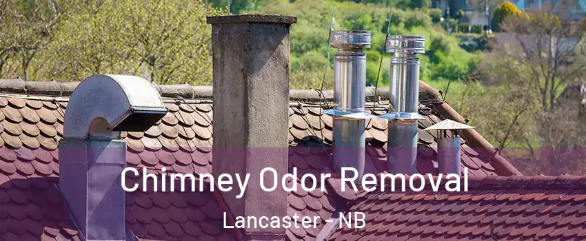  Chimney Odor Removal Lancaster - NB
