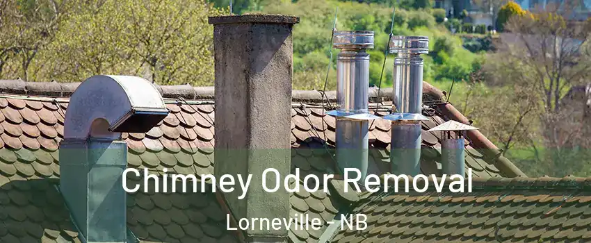  Chimney Odor Removal Lorneville - NB