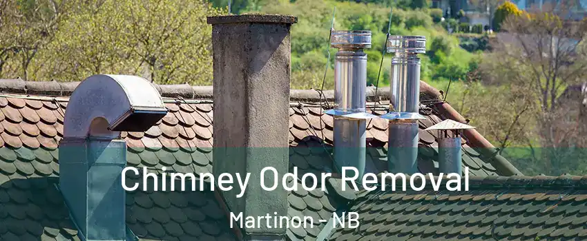  Chimney Odor Removal Martinon - NB