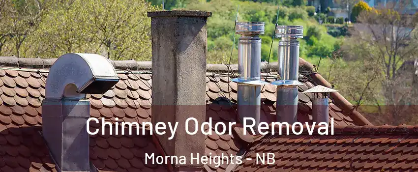  Chimney Odor Removal Morna Heights - NB