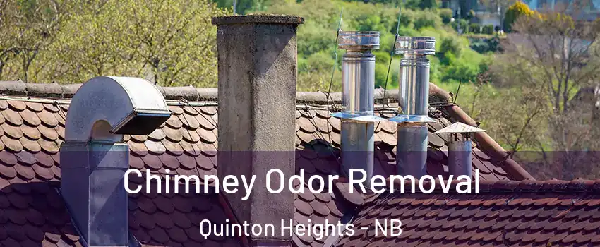 Chimney Odor Removal Quinton Heights - NB