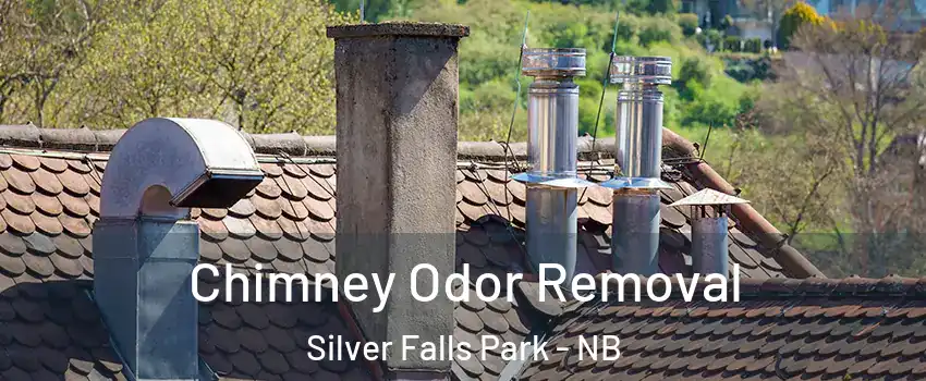  Chimney Odor Removal Silver Falls Park - NB
