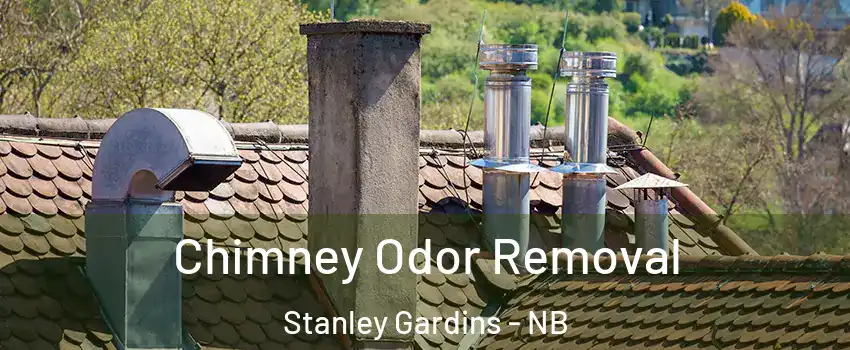  Chimney Odor Removal Stanley Gardins - NB