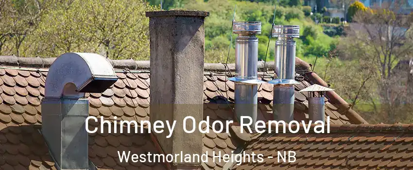  Chimney Odor Removal Westmorland Heights - NB