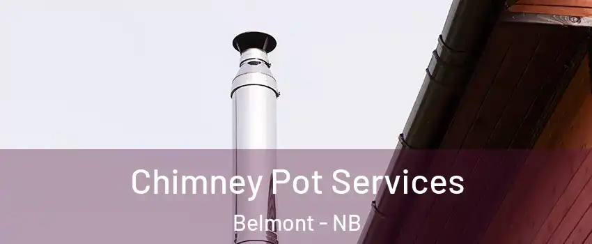  Chimney Pot Services Belmont - NB
