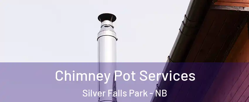  Chimney Pot Services Silver Falls Park - NB