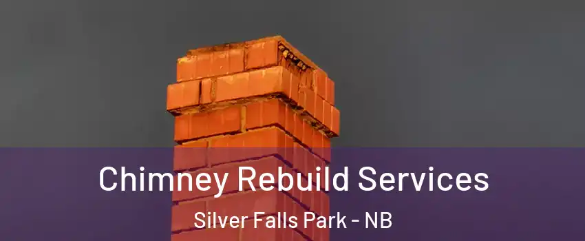  Chimney Rebuild Services Silver Falls Park - NB