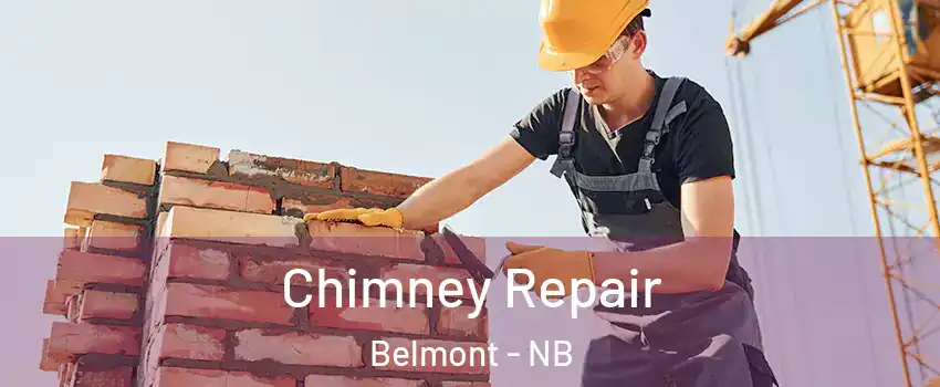 Chimney Repair Belmont - NB