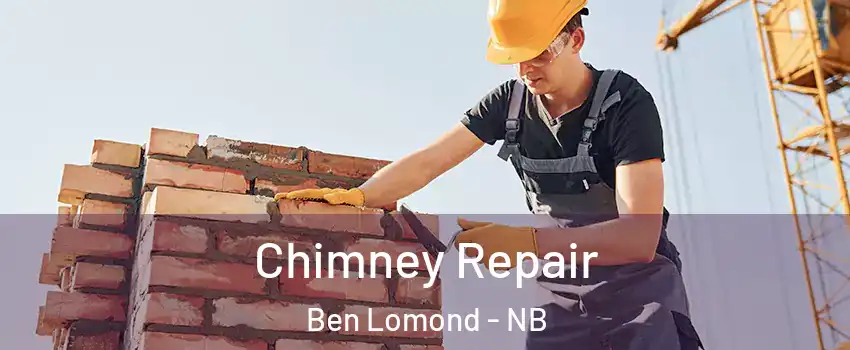  Chimney Repair Ben Lomond - NB