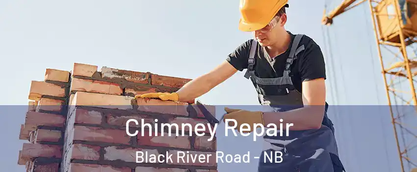  Chimney Repair Black River Road - NB