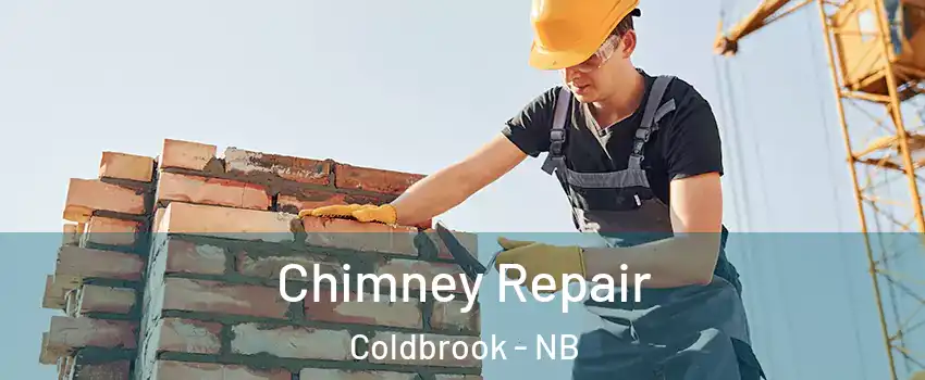  Chimney Repair Coldbrook - NB