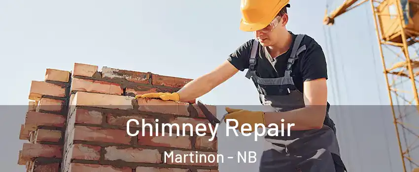  Chimney Repair Martinon - NB