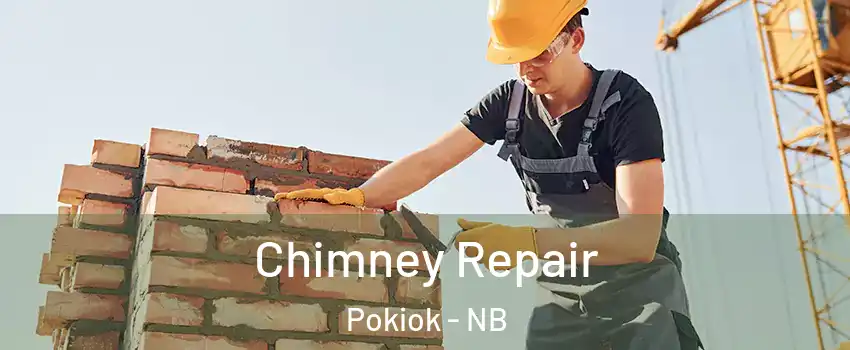  Chimney Repair Pokiok - NB