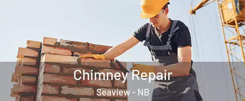  Chimney Repair Seaview - NB