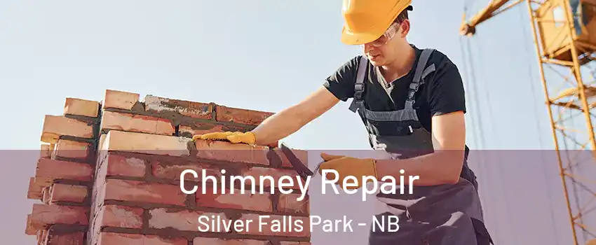  Chimney Repair Silver Falls Park - NB