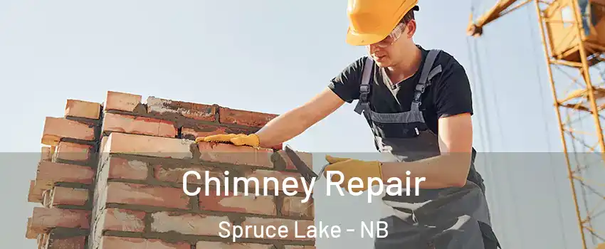  Chimney Repair Spruce Lake - NB