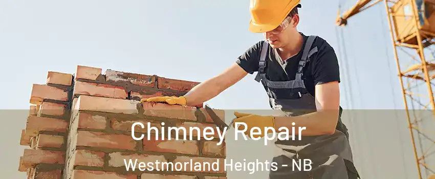  Chimney Repair Westmorland Heights - NB