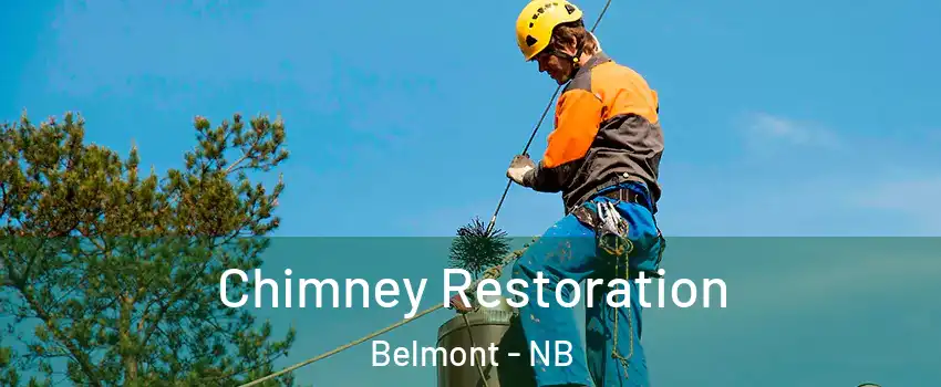  Chimney Restoration Belmont - NB