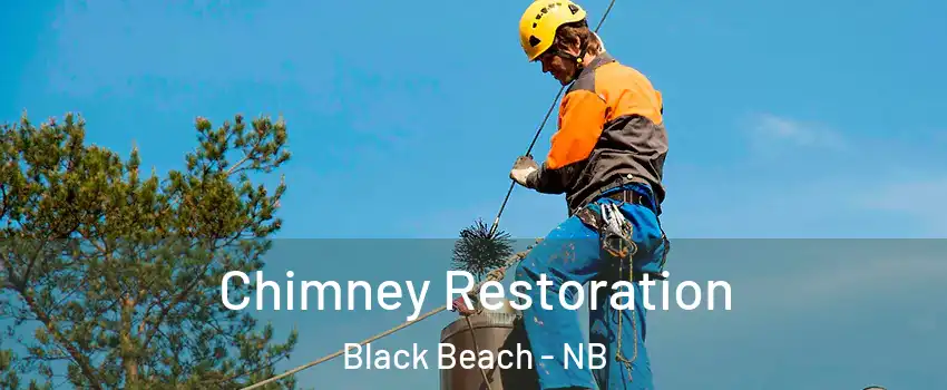  Chimney Restoration Black Beach - NB