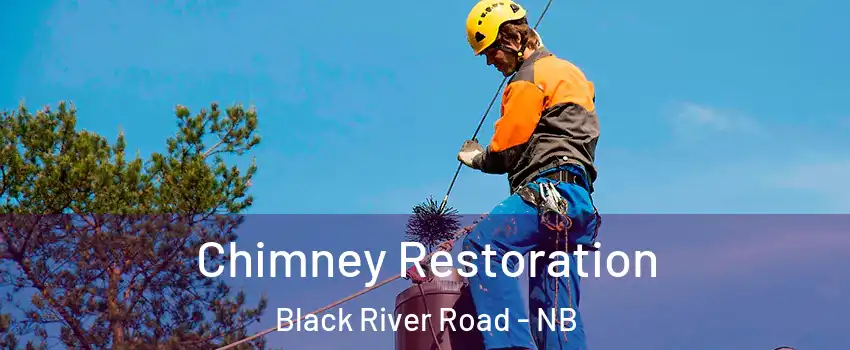 Chimney Restoration Black River Road - NB