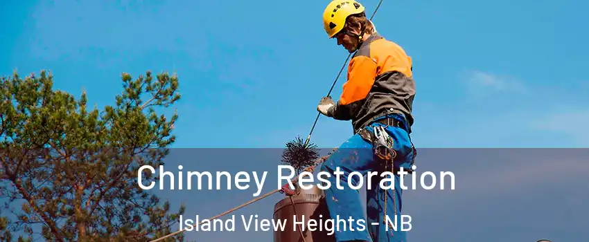  Chimney Restoration Island View Heights - NB