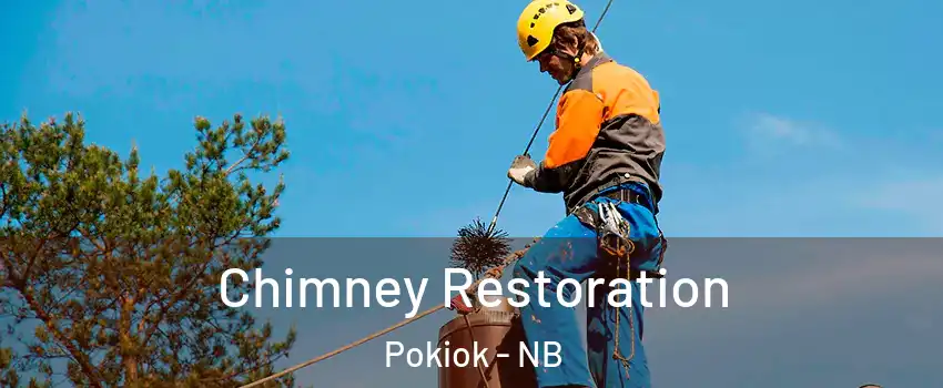  Chimney Restoration Pokiok - NB
