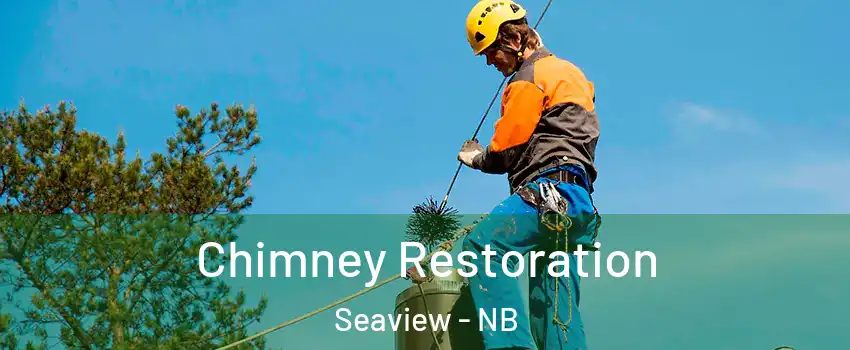  Chimney Restoration Seaview - NB