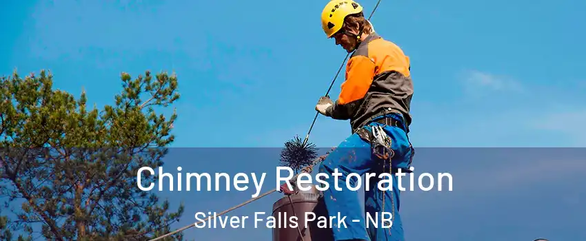  Chimney Restoration Silver Falls Park - NB
