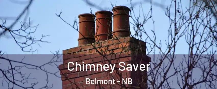  Chimney Saver Belmont - NB