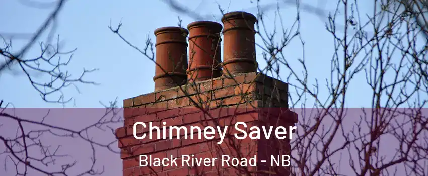  Chimney Saver Black River Road - NB