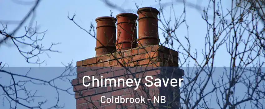  Chimney Saver Coldbrook - NB