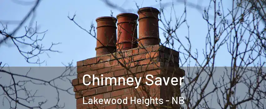  Chimney Saver Lakewood Heights - NB