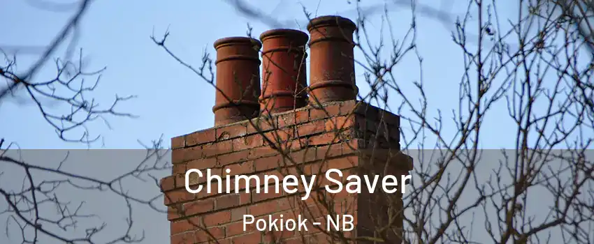  Chimney Saver Pokiok - NB