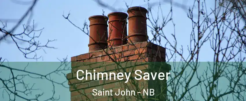  Chimney Saver Saint John - NB