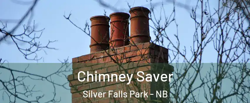  Chimney Saver Silver Falls Park - NB