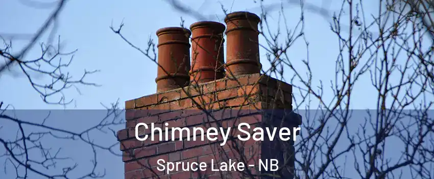  Chimney Saver Spruce Lake - NB