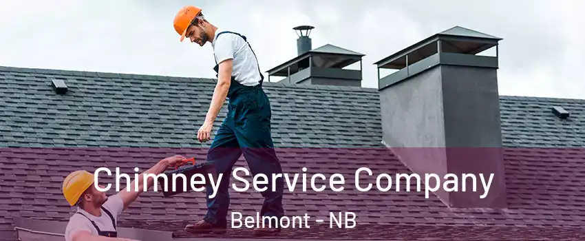  Chimney Service Company Belmont - NB