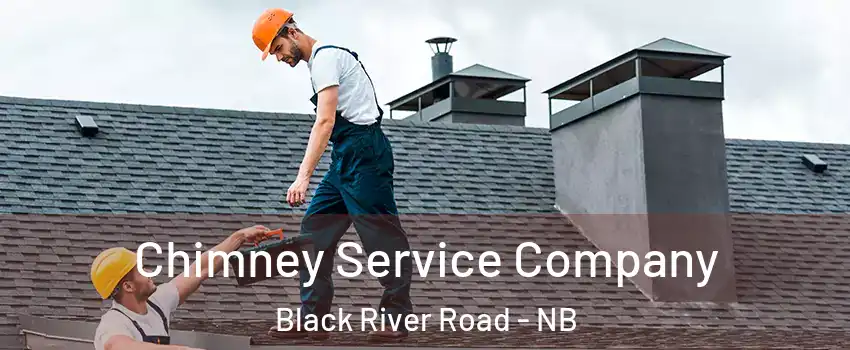 Chimney Service Company Black River Road - NB