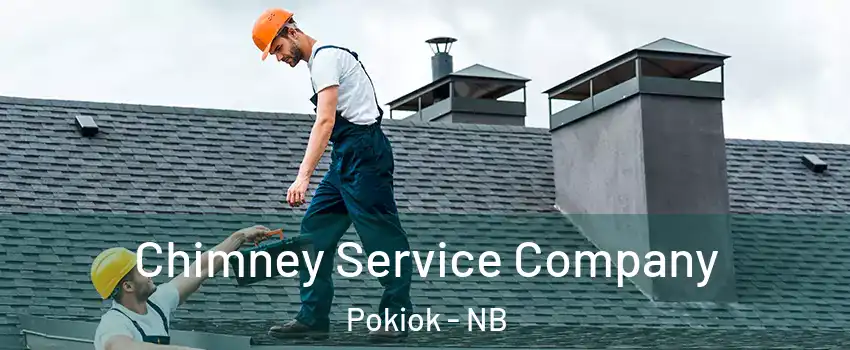  Chimney Service Company Pokiok - NB