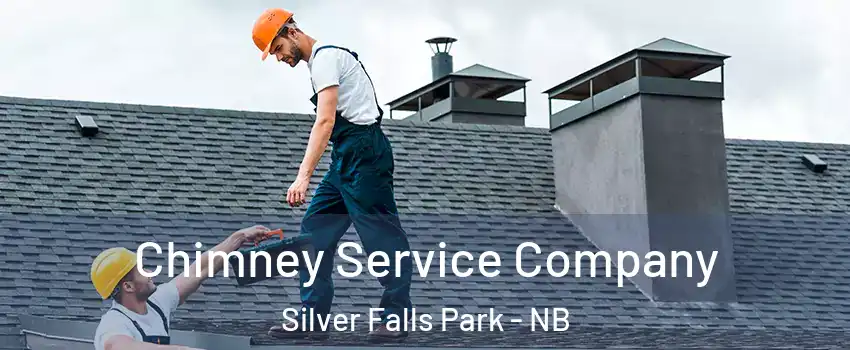  Chimney Service Company Silver Falls Park - NB