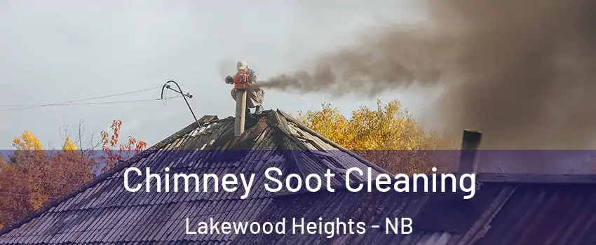  Chimney Soot Cleaning Lakewood Heights - NB
