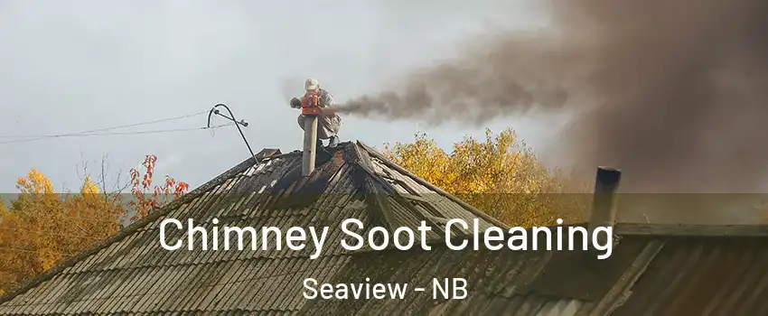  Chimney Soot Cleaning Seaview - NB
