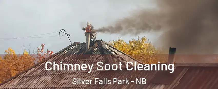  Chimney Soot Cleaning Silver Falls Park - NB