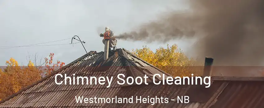  Chimney Soot Cleaning Westmorland Heights - NB